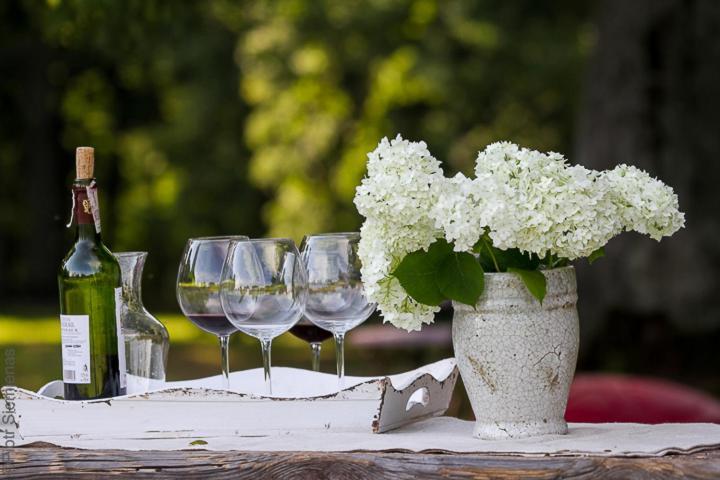 Bed and Breakfast Dwor Dawidy Млинари Екстер'єр фото